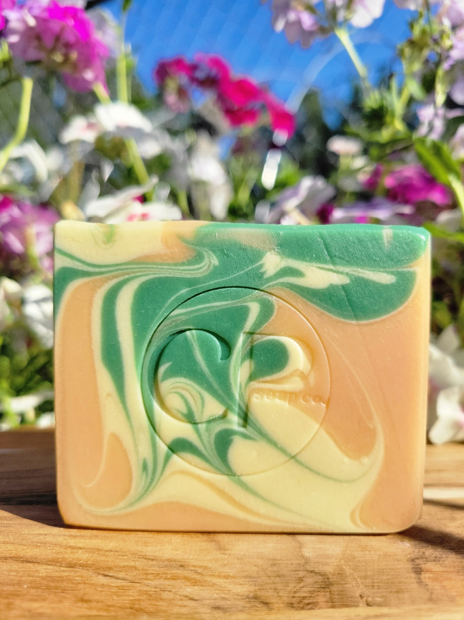 Bloom Bar