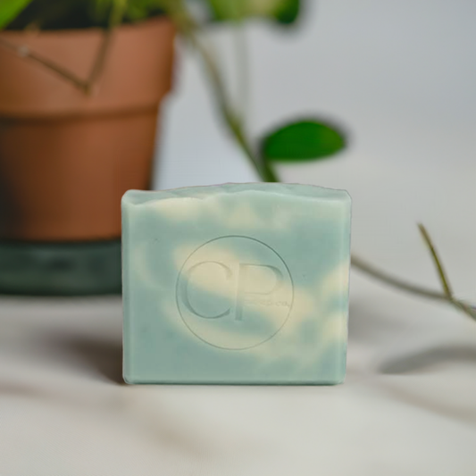 Bliss Bar handcrafted soap floral and citrus and musk